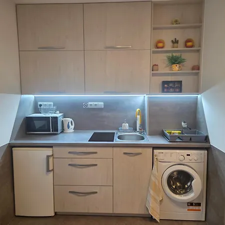 Garsonka Apartment Ostrava